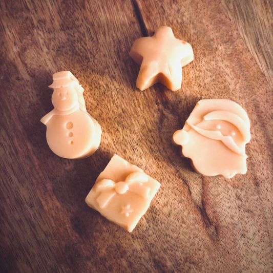 2pc Cocoa Butter Cashmere Wax Melt Sampler